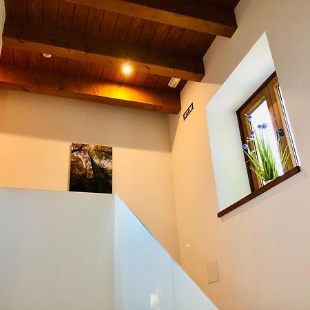 Apartamentos Zabalarena Basoa 奥尔瓦伊特塞塔 外观 照片